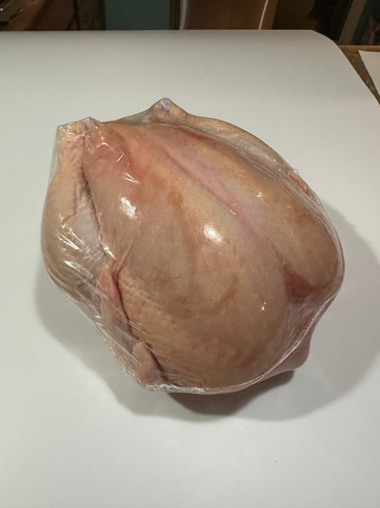 Poulet de paturage